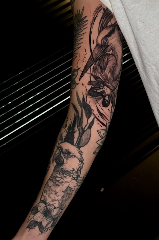 Composição de aves tatuadas no braço